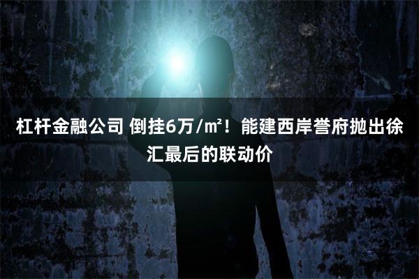 杠杆金融公司 倒挂6万/㎡！能建西岸誉府抛出徐汇最后的联动价