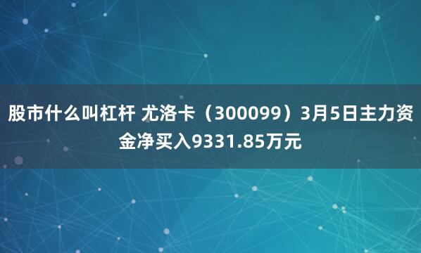 股市什么叫杠杆 尤洛卡（300099）3月5日主力资金净买入9331.85万元