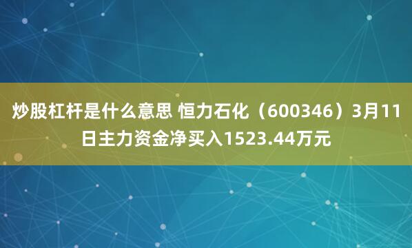 炒股杠杆是什么意思 恒力石化（600346）3月11日主力资金净买入1523.44万元