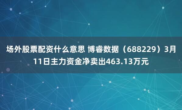 场外股票配资什么意思 博睿数据（688229）3月11日主力资金净卖出463.13万元