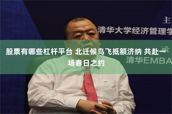 股票有哪些杠杆平台 北迁候鸟飞抵额济纳 共赴一场春日之约