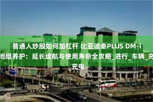 普通人炒股如何加杠杆 比亚迪秦PLUS DM-i电池组养护：延长续航与使用寿命全攻略_进行_车辆_充电