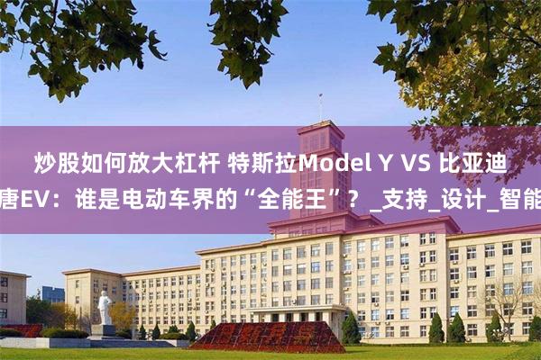 炒股如何放大杠杆 特斯拉Model Y VS 比亚迪唐EV：谁是电动车界的“全能王”？_支持_设计_智能