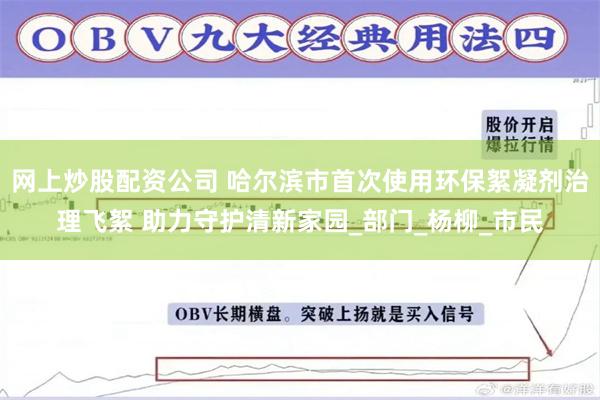 网上炒股配资公司 哈尔滨市首次使用环保絮凝剂治理飞絮 助力守护清新家园_部门_杨柳_市民