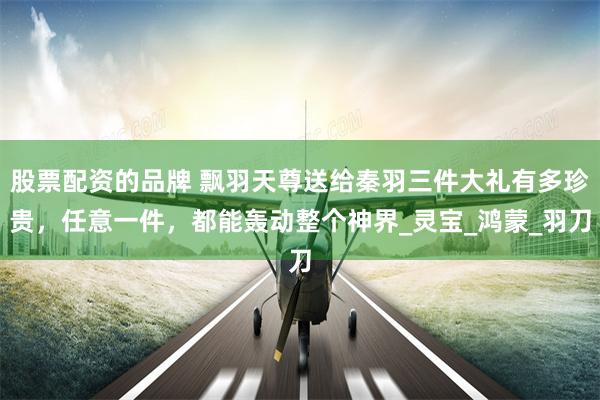 股票配资的品牌 飘羽天尊送给秦羽三件大礼有多珍贵，任意一件，都能轰动整个神界_灵宝_鸿蒙_羽刀
