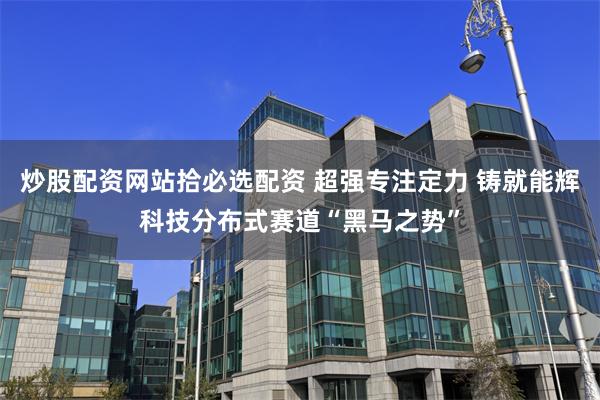 炒股配资网站拾必选配资 超强专注定力 铸就能辉科技分布式赛道“黑马之势”