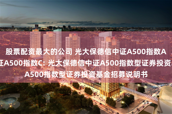 股票配资最大的公司 光大保德信中证A500指数A,光大保德信中证A500指数C: 光大保德信中证A500指数型证券投资基金招募说明书
