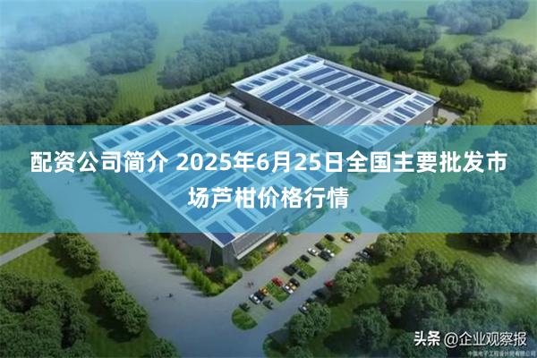 配资公司简介 2025年6月25日全国主要批发市场芦柑价格行情